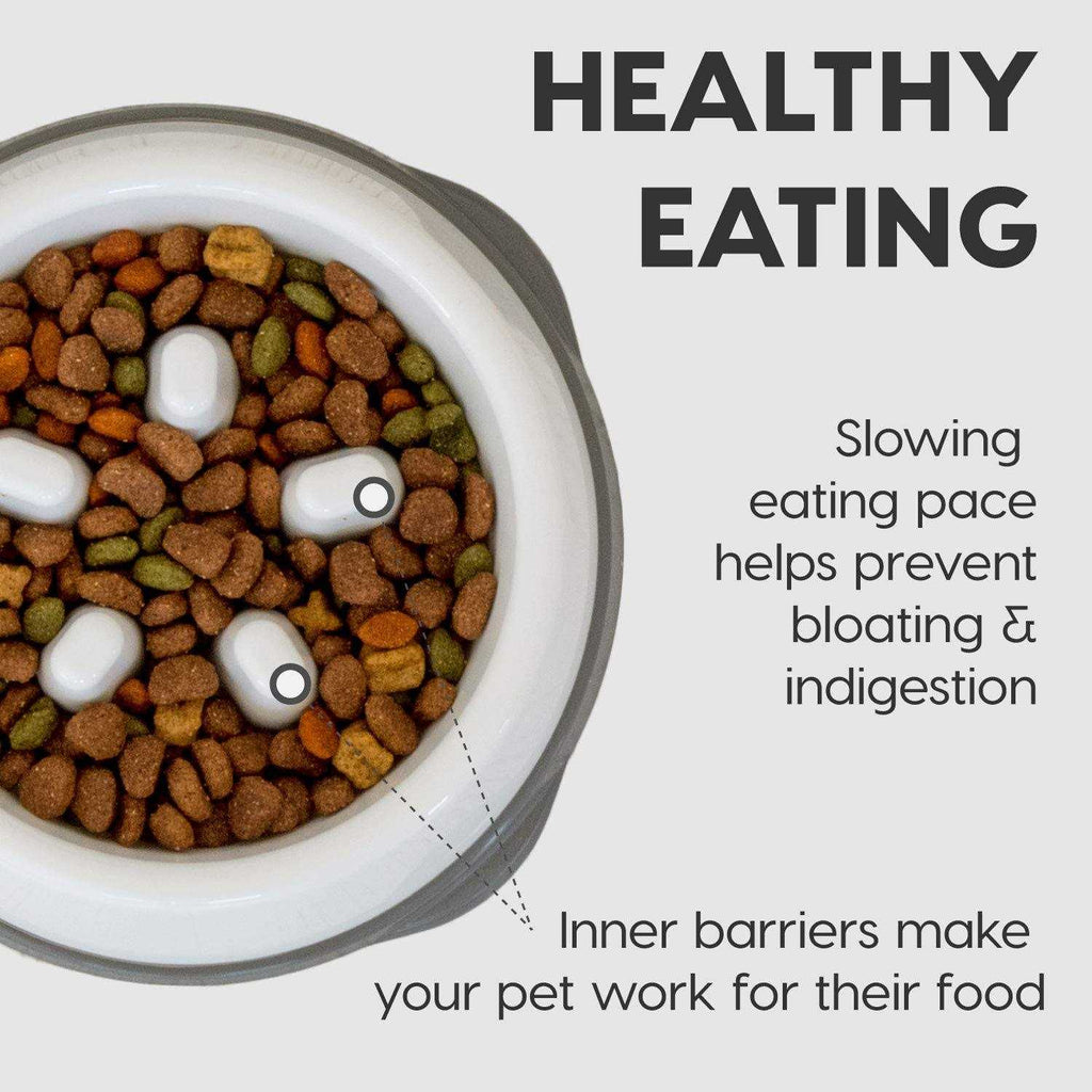 Slow Feeding Bowl for Short Snouted Pets P230